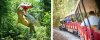 dino train.jpg