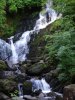 IMG_8251.JPG