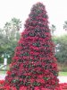 pointsettistree.jpg