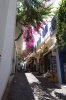 DSC00989.jpeg