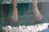 DSC01068.jpeg