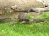 IMG_0065 - Copy.JPG
