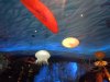 T-Rex sea life.jpg