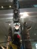 IMG_3642.jpg