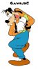 Goofy gosh.jpg