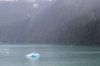 mountains and icebergs_6_2.jpg