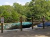 Resized_20160628_111938.jpeg