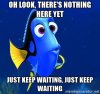 dory.jpg