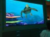IMG_1462.jpg