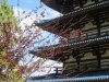 IMG_4865 (800x600).jpg