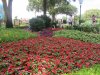 IMG_4902 (800x600).jpg