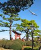 Epcot Japan (1).jpg