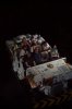 AK_DINOSAURRIDE_7109722672.jpeg