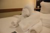 day 6 towel animal_6_9.jpg