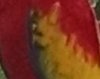 crop 64.jpg
