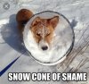 snowcone.jpg