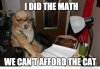 accountant-dog.jpg