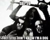 day-28-they-still-dont-know-im-a-dog-death-metal-band.jpg