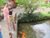 IMG_5398.jpg