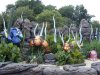 epcot seas nemo.JPG