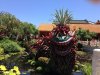 Dragon Topiary.JPG