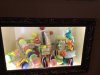 Macaron Display.JPG