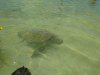 IMG_20160608_125549.jpg