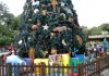 AK xmas tree.jpg