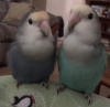 upload_2016-7-30_10-6-3.png