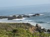 IMG_5677.jpg