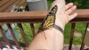 20150712_110818.jpg