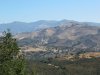 IMG_5717.jpg