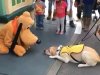 P with Guide Dog.jpg