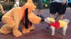 P with WtP dog.jpg