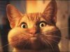 upload_2016-8-9_13-37-16.jpeg