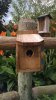epcot f g birdhouse.jpg