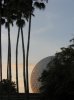 epcot evening.jpg