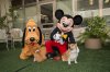 Pluto and Mickey with doggies.jpg