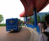 IMG_2078.jpg