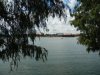 DSCN3545.JPG