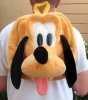P backpack.jpg