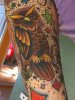 owl.jpg