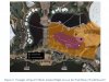 Flight path EPCOT.jpg