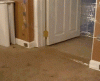 zz tumblr_lrznz9X4s31qzrlhgo7_250.gif