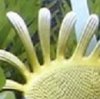 crop 70.jpg