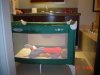 pack n play 3.5 year old.jpg