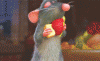 giphy (4).gif