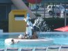 IMG_4163.JPG