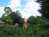 IMG_4229.JPG