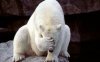 upload_2016-8-26_18-6-2.jpeg